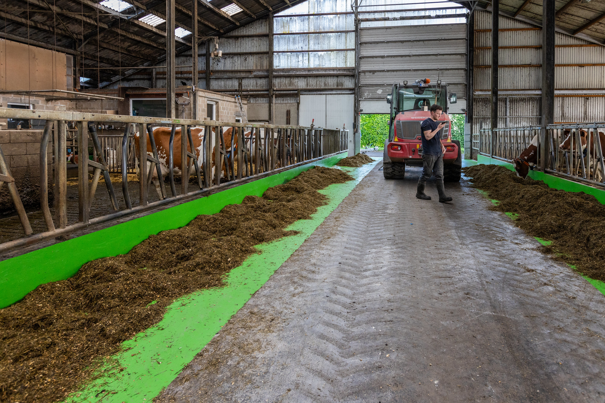 PMMA vloeren voor de landbouw in stallen